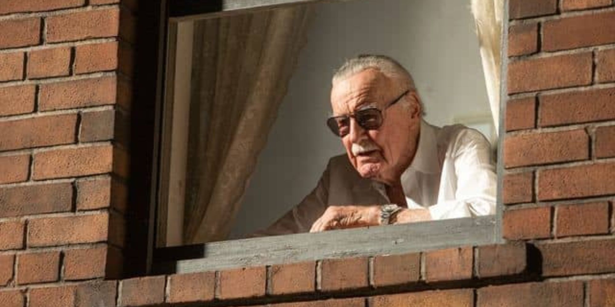 Spider-Man's Homecoming Stan Lee Cameo