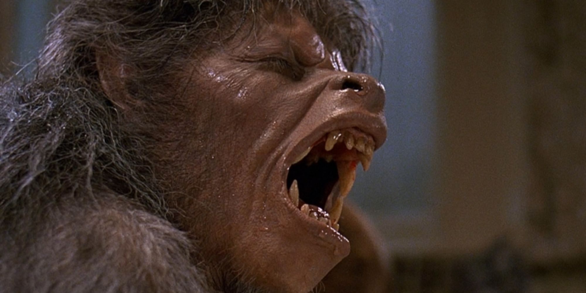 american werewolf