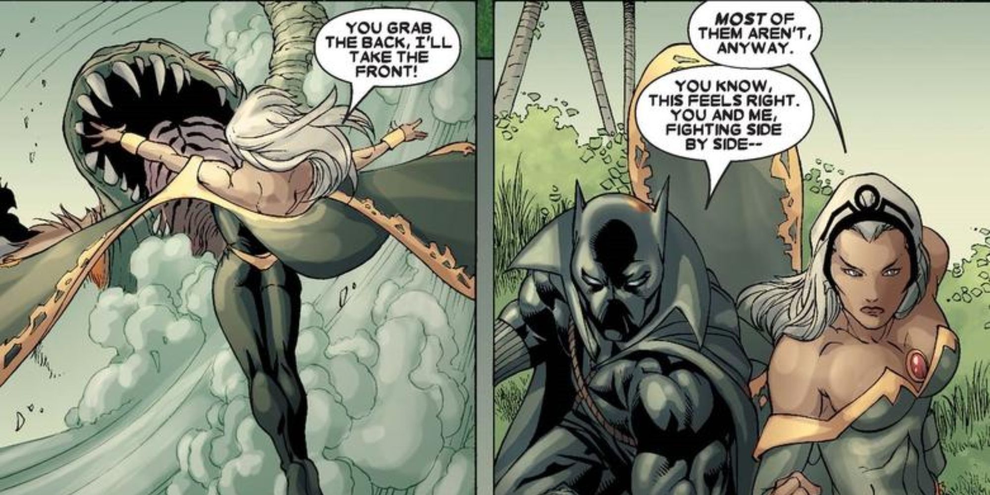 A comic book depicting Black Panther and Storm fighting together.