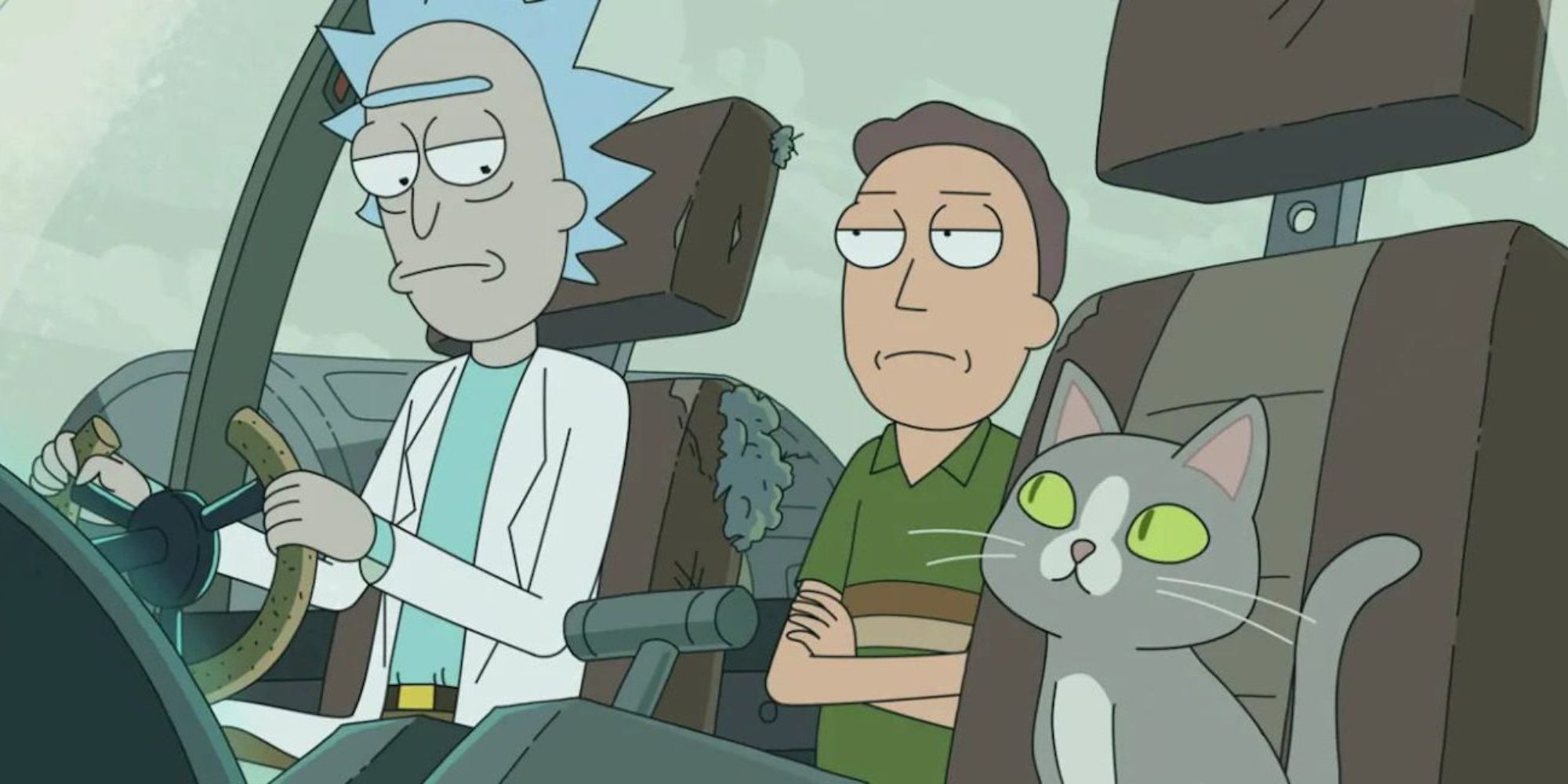 talking cat