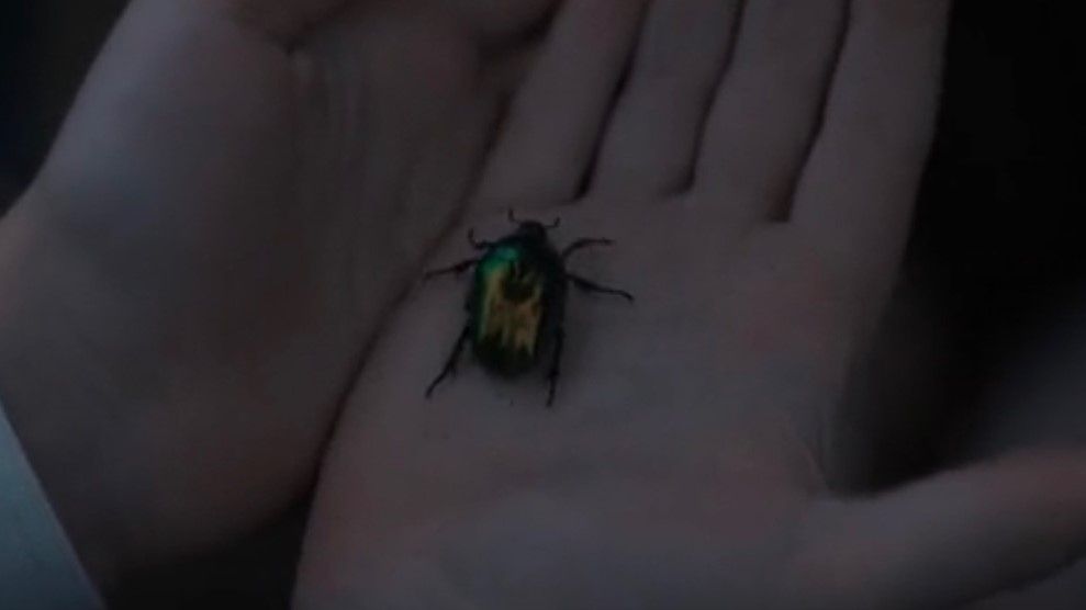 beetle-episode-8-final-1899