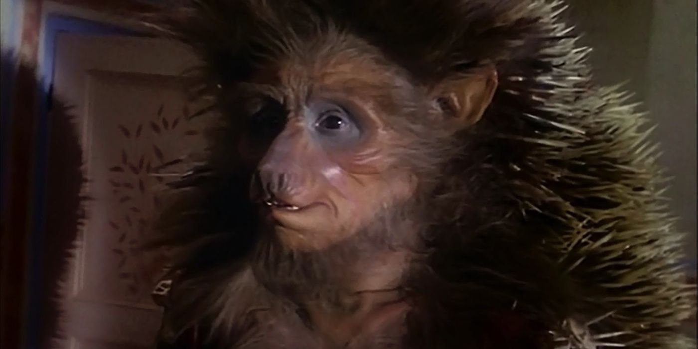 Hedgehog in Jim Henson's The Storyteller episode Hans, My Hedgehog