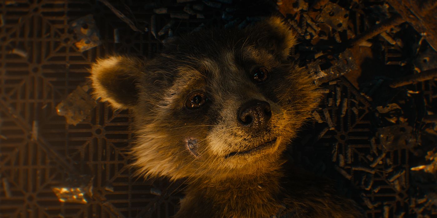 guardians-of-the-galaxy-volume-3-rocket-raccoon