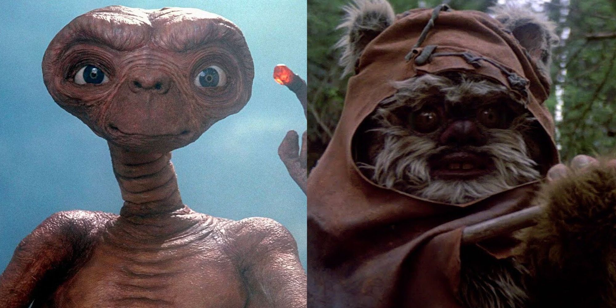 ET Ewok0