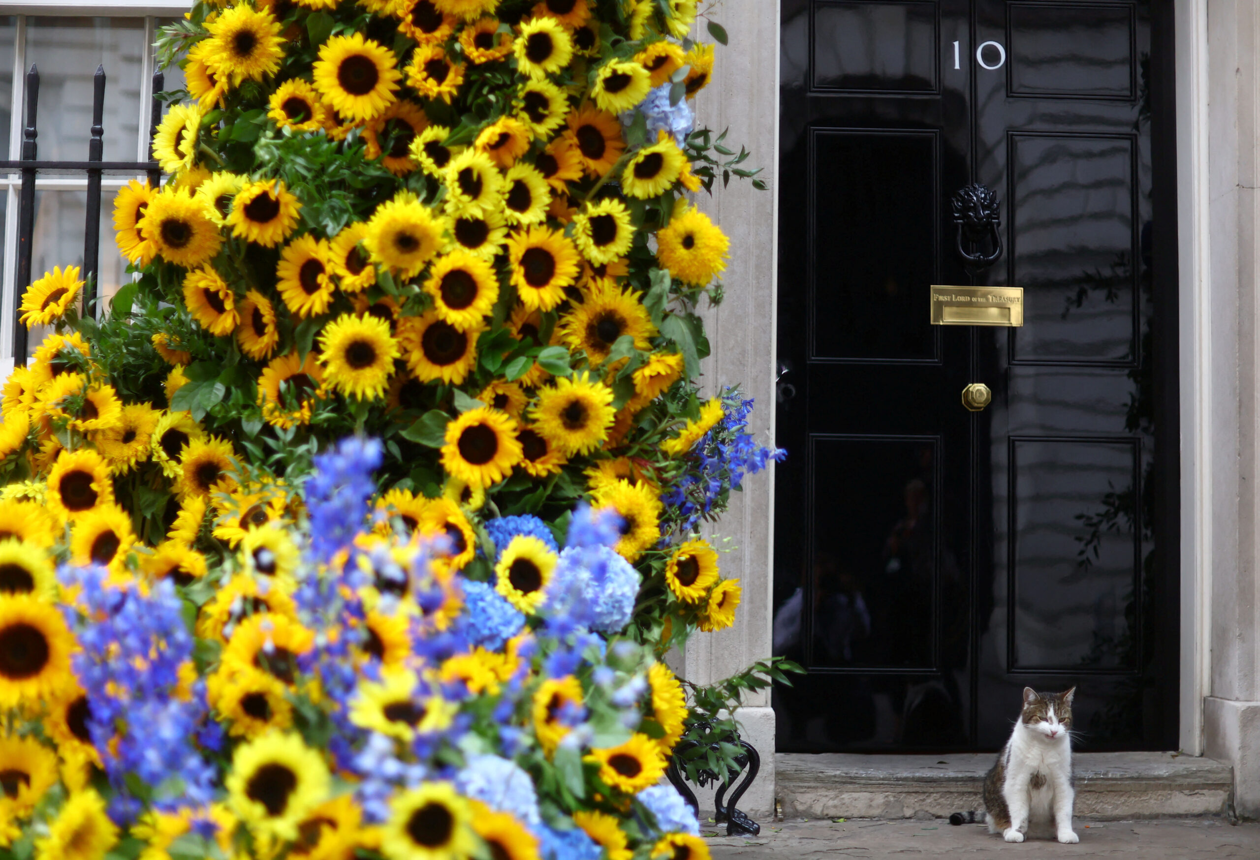 Photo: Reuters
